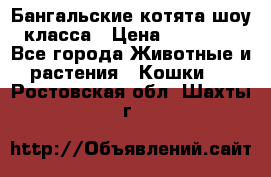 Бангальские котята шоу класса › Цена ­ 25 000 - Все города Животные и растения » Кошки   . Ростовская обл.,Шахты г.